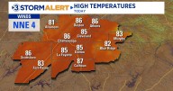 Partly cloudy with a slim chance of a shower today