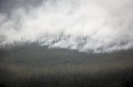 Environment groups calls for swift climate policies ahead of fall Parliament session