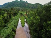 Turning India's Water Crisis into Water Security with River Rejuvenation: The Art of Living