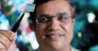 Scientist turns shellfish trash into electronic device