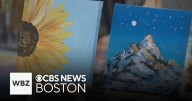 What to know about the Boston Arts Festival