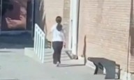 Se entregó la nena que se había atrincherado con un arma en una escuela de Mendoza