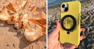 106 Interesting And Bizarre Things People Found At The Beach (New Pics)