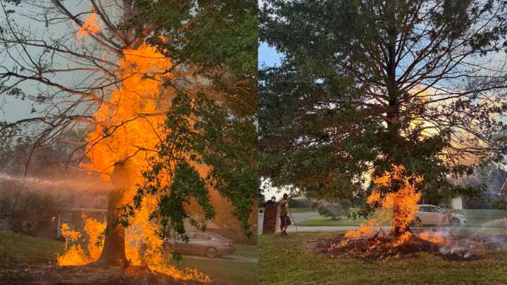 Gas line in Lenoir City neighborhood struck by lightning