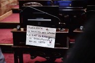 El Senado ratificó la Ley de Emergencia en Discapacidad y se cayó el veto de Milei