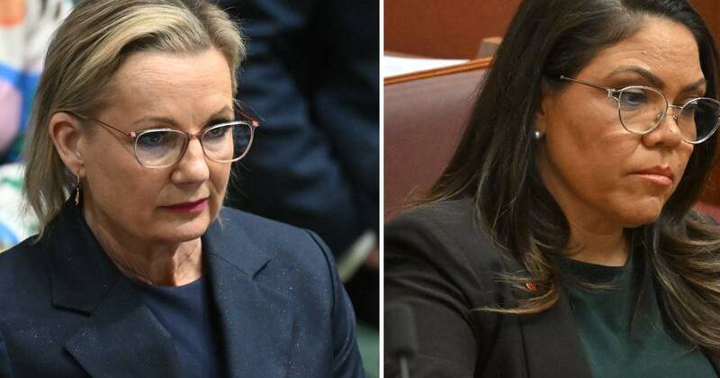 Senior Liberals back Ley after 'cauterising the wound'