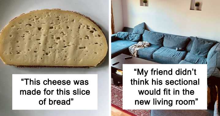 50 Times People Encountered A ‘Perfect Fit’ In Real Life And Just Had To Document It (New Pics)