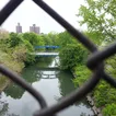 26-year-old man fatally shot in Bronx park, NYPD says