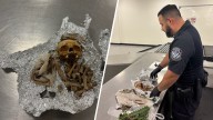Traveler caught with human remains used ‘for rituals' at Tampa airport: CBP