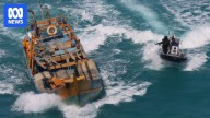 Border Force turns to Recfishwest app to crack down on illegal fishers off northern Australia