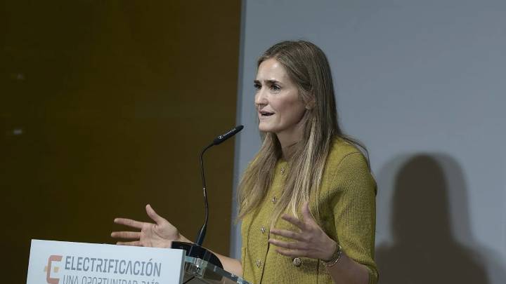 El Gobierno invertirá 13.590 millones hasta 2030 en la red del transporte de electricidad