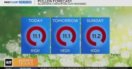 What's going around? High pollen in North Texas leading to symptoms for those with allergies