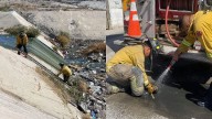 Bomberos rescatan a cachorro que cayó en un desarenador en Mariano Matamoros