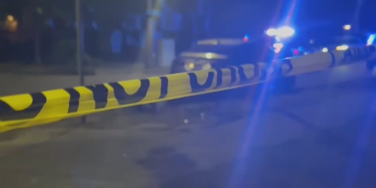 2 adults arrested for spray painting Savannah buildings, signs