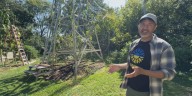 Fort Wayne man sets world record for tallest sunflower, first in the U.S