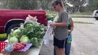 Feeding Tampa Bay prepares for potential impact from SNAP changes
