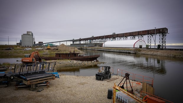 Churchill, Man., residents torn between port expansion, tourism as Ottawa considers nation