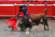 Corte colombiana avala ley que prohíbe corridas de toros y peleas de gallos