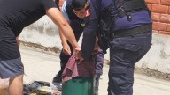 Serenazgo y Bomberos controlan fuga de gas en Piura