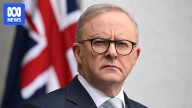 Anthony Albanese blames move from electoral office on Sydney pro