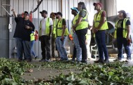 Diverse brewers bring a new perspective to Yakima hop selection