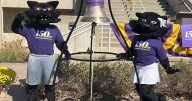 UNI marks start of homecoming week and year