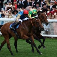 Racing betting tax hike will bring 'communities to their knees': Gosden