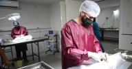Vuelve la Campaña de Castración Masiva en los Centros de Zoonosis