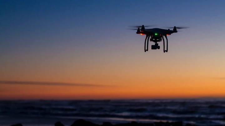 Los empresarios enfrentan sanciones graves a posteriori de que el metraje de drones expone un esquema ilegal: “debería haberlo sabido mejor”