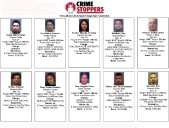 Los más buscados de la semana