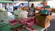 Bounty & Soul food distribution held in Black Mountain