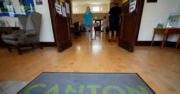 Recount confirms results in special Georgia state Senate election