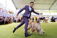 Denver woman selected as judge for 150th Kennel Club Dog Show