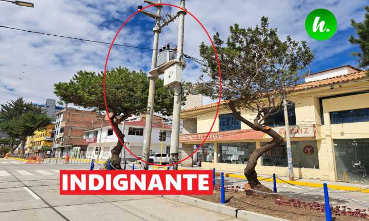 Postes de alta tensión invaden áreas verdes de la berma central