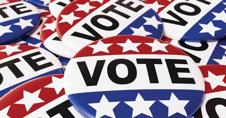 Lawmakers urged to expedite move to new voting system