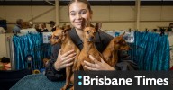 Melbourne Royal Show: Meet the teenagers showing dogs, horses and working sideshows