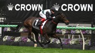 RACING 
                                          Comments
                                        
                                          Premium
                                        Mr Bri