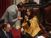 Sesión caliente: la oposición del Senado busca voltear el veto en Discapacidad y cambiar la ley de DNU para limitar el poder de Milei