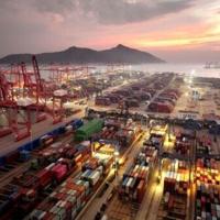 AI may boost global trade value by nearly 40%: WTO