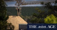 Victorian native timber ban: Opal launches Supreme Court action over lost supply agreement