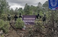 Aseguran artefactos explosivos en Guadalupe y Calvo