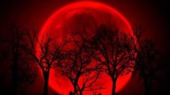 La Luna se tiñe de rojo: esta noche se podrá ver un eclipse total desde casi toda España
