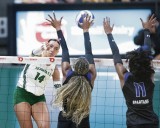 Wahine’s Mane gets court time after her tireless offseason work
