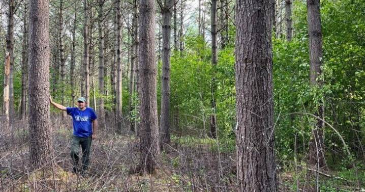 No Silver Bullet To Control Invasive Plants