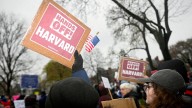 Una jueza da la razón a Harvard frente a la suspensión de fondos federales de Donald Trump