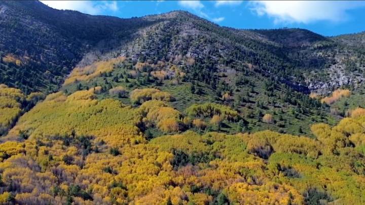 Enamora ‘La Marta’ a turistas; pinta otoño paisajes de Arteaga