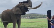 Behind the scenes look at the Pittsburgh Zoo and Aquarium's International Conservation Center