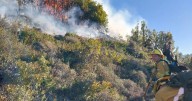 Incendio forestal en el cerro Montura: una quema de matorrales se descontroló en una zona de difícil acceso