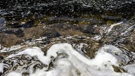 Trump EPA will defend Biden rule forcing polluters to pay for 'forever chemical' cleanup