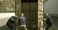 Aumento "alarmante" del narcotráfico en Barcelona con un 70% más de procedimientos judiciales, casi el doble que en Madrid